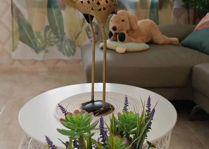 Prázdninový dům Casa Femes Piscina Climatizada *