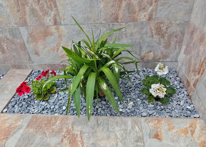 Casa Femes Piscina Climatizada 度假居 普拉亚布兰卡