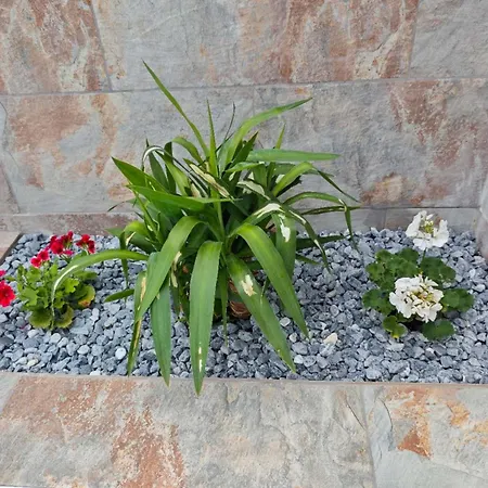 Casa Femes Piscina Climatizada Casa de Férias Playa Blanca (Lanzarote)